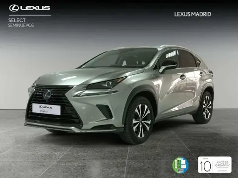 Used LEXUS NX Hybrid 2020 Ad 