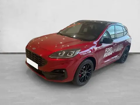 Annonce FORD KUGA Électrique 2023 d'occasion 