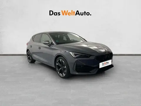 Annonce CUPRA LEON Essence 2023 d'occasion 