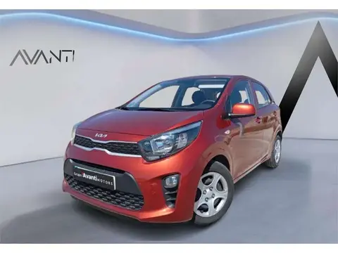 Used KIA PICANTO Petrol 2022 Ad 