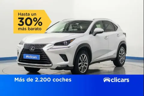 Used LEXUS NX Hybrid 2020 Ad 