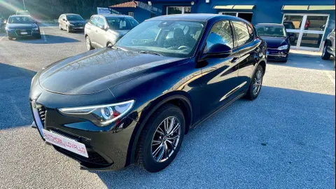 Used ALFA ROMEO STELVIO Diesel 2019 Ad 