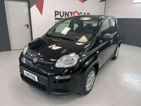 Used FIAT PANDA Hybrid 2024 Ad 