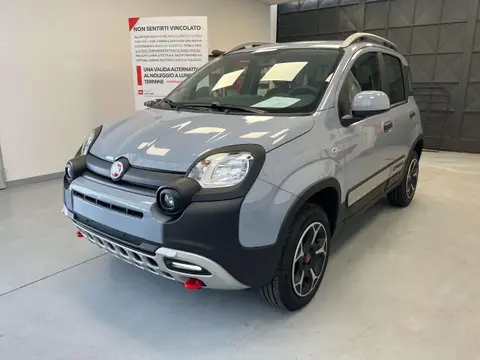 Annonce FIAT PANDA Essence 2022 d'occasion 