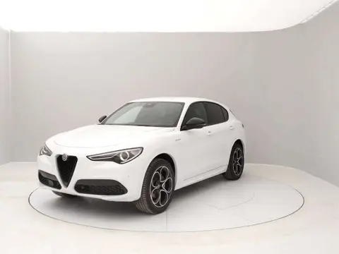 Used ALFA ROMEO STELVIO Petrol 2022 Ad 