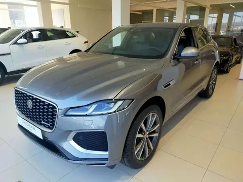 Used JAGUAR F-PACE Hybrid 2024 Ad 