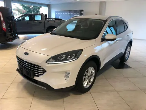 Annonce FORD KUGA Essence 2022 d'occasion 