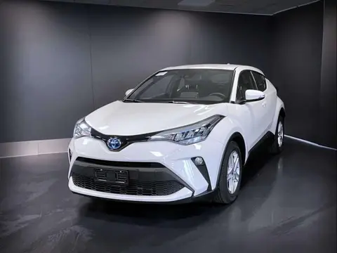 Used TOYOTA C-HR Hybrid 2023 Ad 