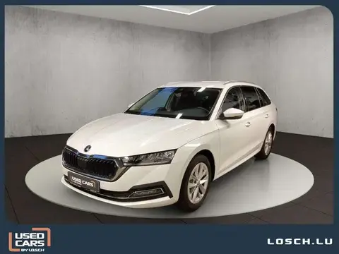 Annonce SKODA OCTAVIA Diesel 2024 d'occasion 