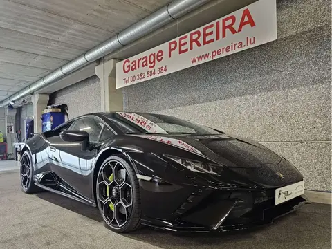 Used LAMBORGHINI HURACAN Petrol 2024 Ad 