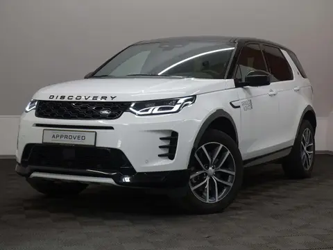 Annonce LAND ROVER DISCOVERY Diesel 2024 d'occasion 