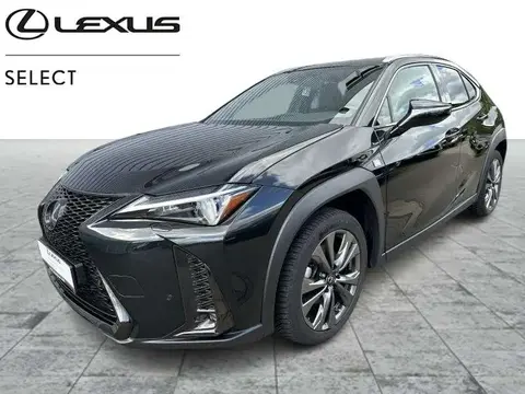 Used LEXUS UX Hybrid 2023 Ad 