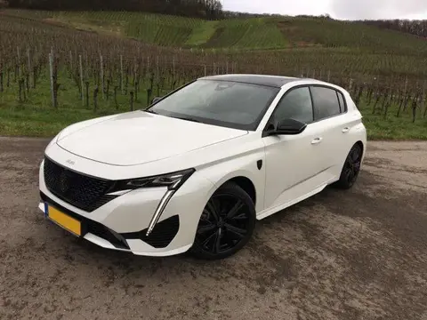 Annonce PEUGEOT 308 Hybride 2023 d'occasion 