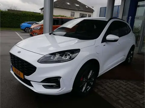 Annonce FORD KUGA Hybride 2021 d'occasion 