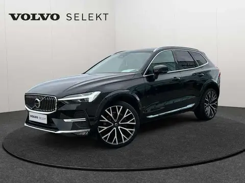 Used VOLVO XC60 Diesel 2021 Ad 