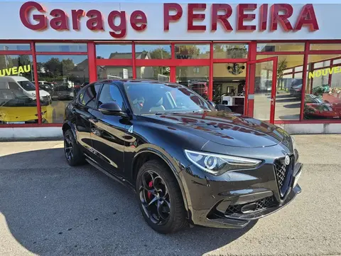 Annonce ALFA ROMEO STELVIO Essence 2021 d'occasion 