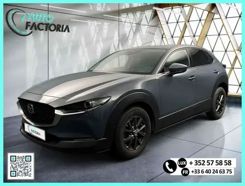 Annonce MAZDA CX-30 Essence 2020 d'occasion 