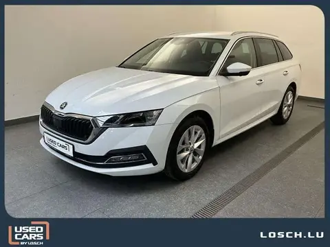 Used SKODA OCTAVIA Diesel 2023 Ad 