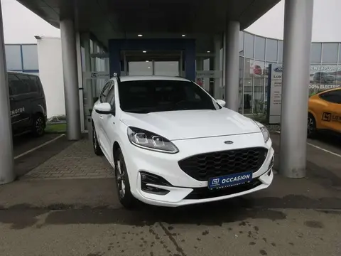 Annonce FORD KUGA Hybride 2022 d'occasion 