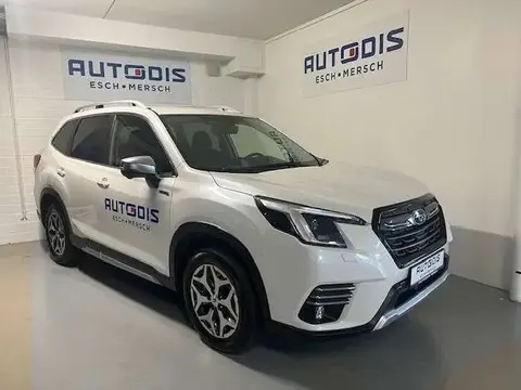 Annonce SUBARU FORESTER Hybride 2024 d'occasion 