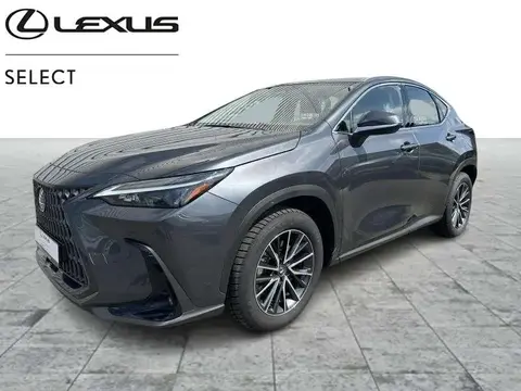 Used LEXUS NX Hybrid 2023 Ad 