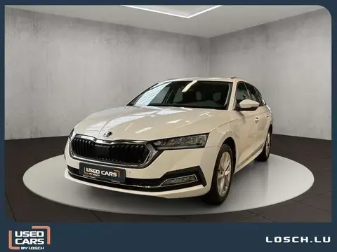 Annonce SKODA OCTAVIA Diesel 2024 d'occasion 