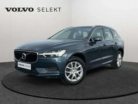 Annonce VOLVO XC60 Essence 2019 d'occasion 