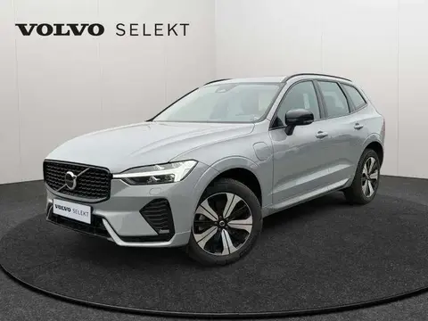 Annonce VOLVO XC60 Hybride 2023 d'occasion 