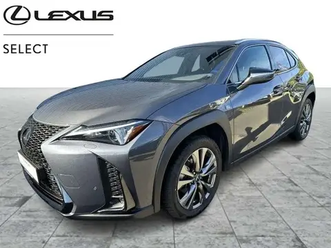 Annonce LEXUS UX Hybride 2023 d'occasion 