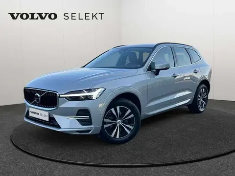 Used VOLVO XC60 Diesel 2022 Ad 