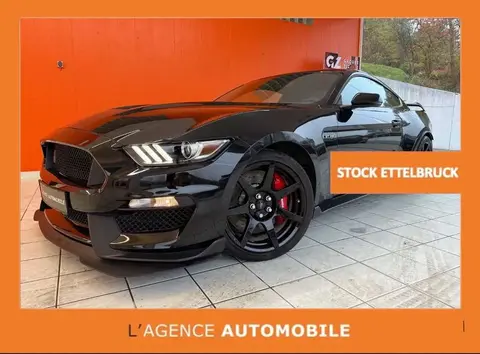 Used FORD MUSTANG Petrol 2018 Ad 