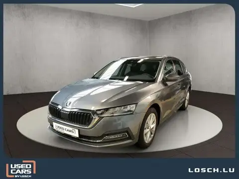 Used SKODA OCTAVIA Diesel 2024 Ad 