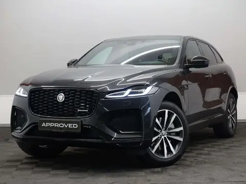 Used JAGUAR F-PACE Hybrid 2024 Ad 