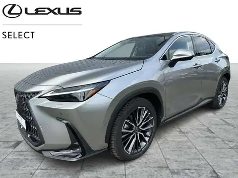 Used LEXUS NX Hybrid 2024 Ad 