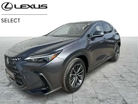 Used LEXUS NX Hybrid 2024 Ad 