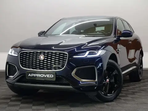 Annonce JAGUAR F-PACE Diesel 2023 d'occasion 