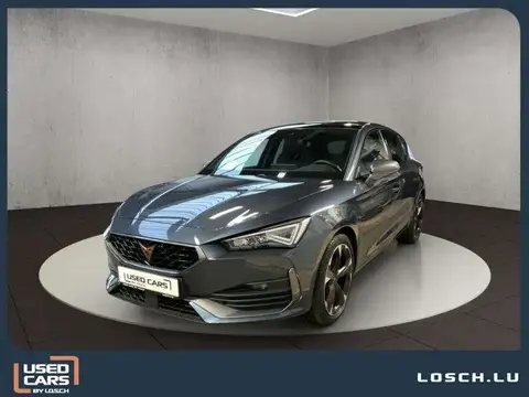 Annonce CUPRA LEON Essence 2023 d'occasion 