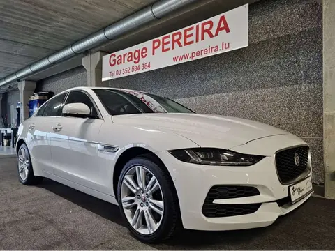 Annonce JAGUAR XE Essence 2019 d'occasion 