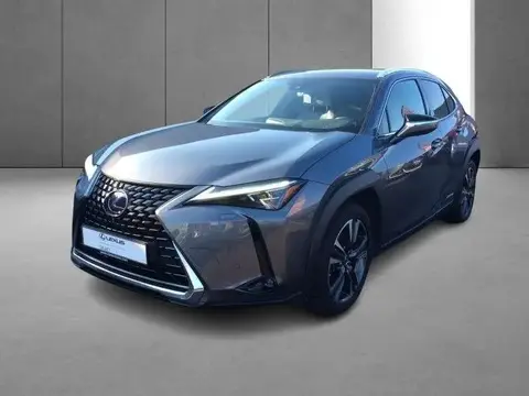 Used LEXUS UX Hybrid 2019 Ad 