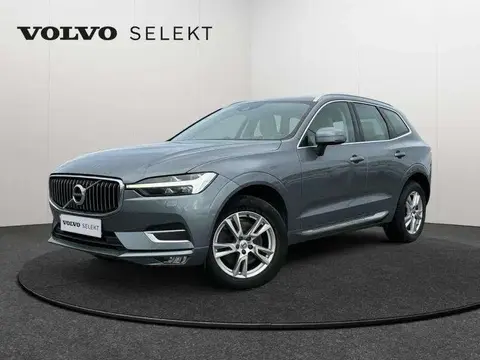 Used VOLVO XC60 Diesel 2021 Ad 