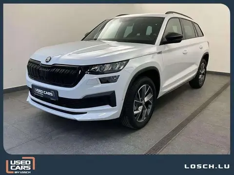 Annonce SKODA KODIAQ Essence 2023 d'occasion 