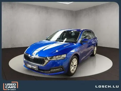 Annonce SKODA OCTAVIA Diesel 2024 d'occasion 