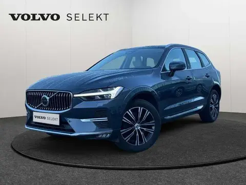 Used VOLVO XC60 Diesel 2022 Ad 