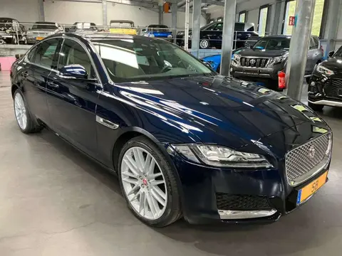 Used JAGUAR XF Diesel 2020 Ad 