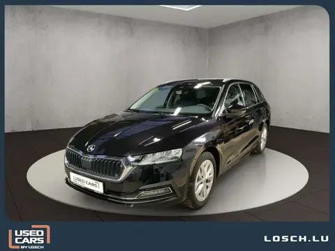 Annonce SKODA OCTAVIA Diesel 2024 d'occasion 