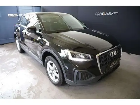 Annonce AUDI Q2 Essence 2024 d'occasion 