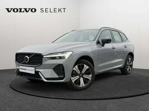 Annonce VOLVO XC60 Hybride 2023 d'occasion 