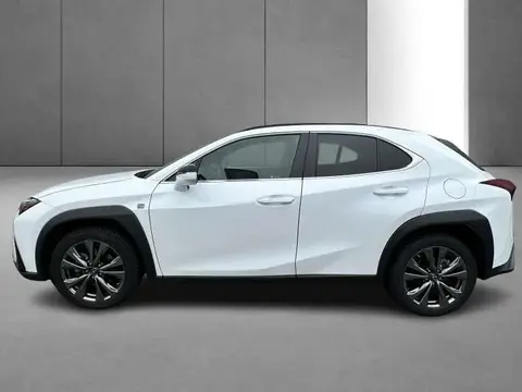 Used LEXUS UX Hybrid 2023 Ad 