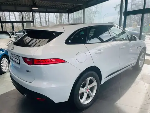 Used JAGUAR F-PACE Diesel 2017 Ad 