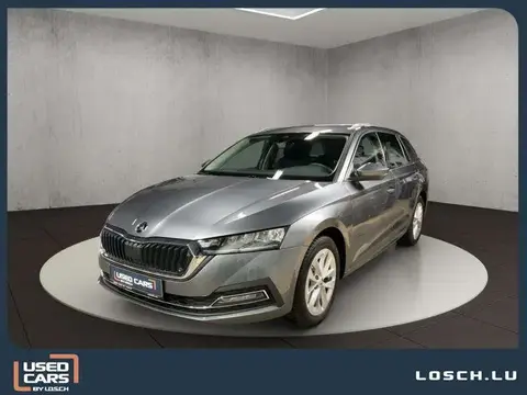 Used SKODA OCTAVIA Diesel 2024 Ad 